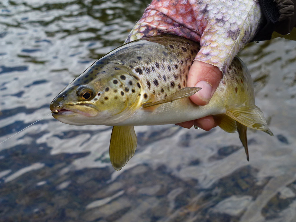 Loaded 3-River S/M Nymph Mix-Slim Fly Boxes.