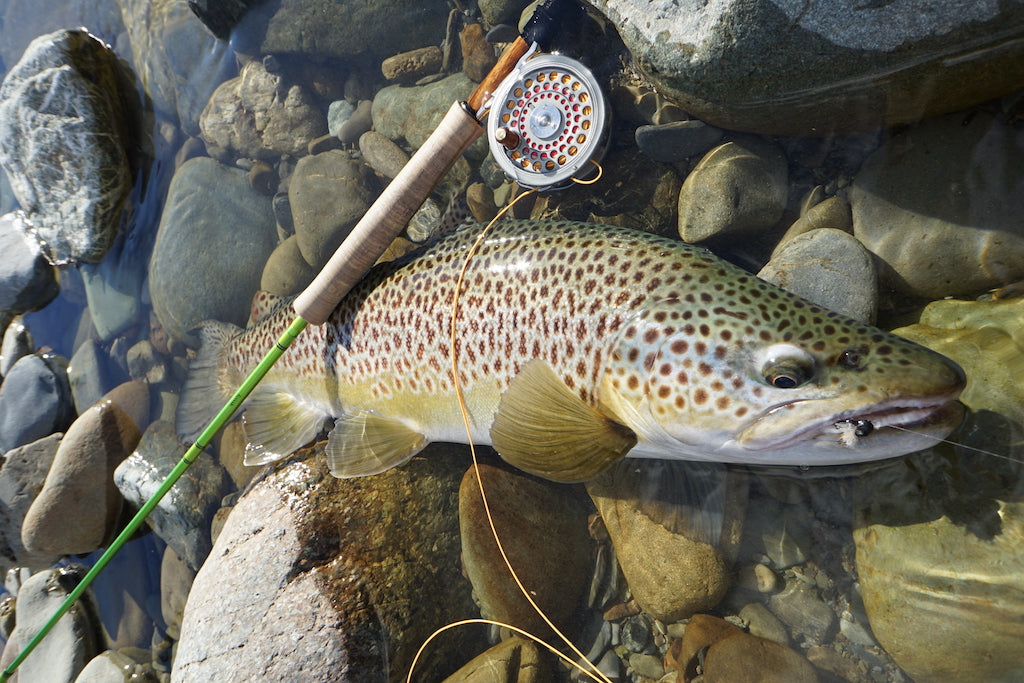 Loaded 7-S/M Dry Fly Mix-Slim Fly Boxes.