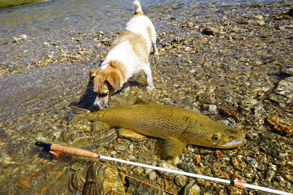 Fly Fishing- Sexy- Baseball Cap
