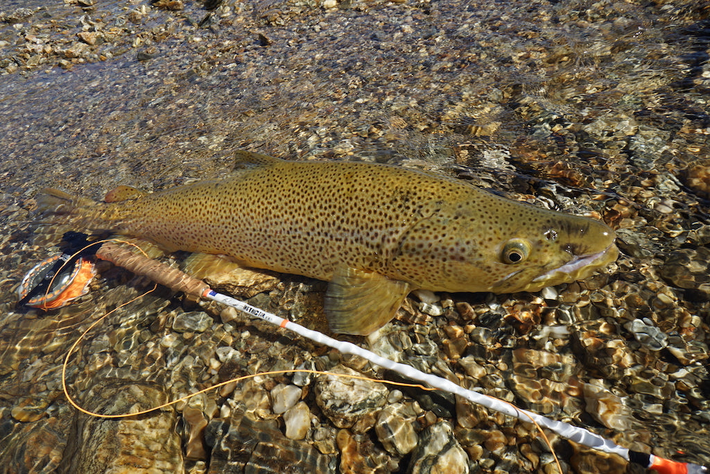 Loaded 7-S/M Dry Fly Mix-Slim Fly Boxes.