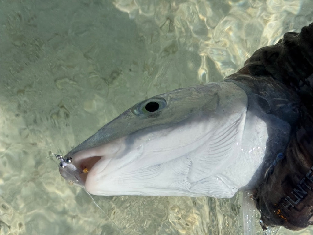 Loaded 11-Slim-Bonefish-Torpedo Shrimp-Fly Box-Mix