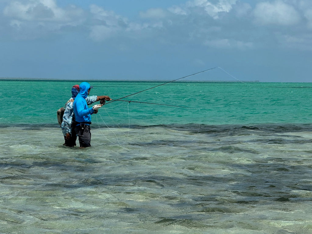 Bonefish Torpedo Shrimp Mix Pack's