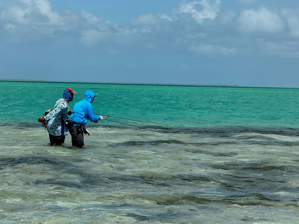 Bonefish Torpedo Shrimp Mix Pack's