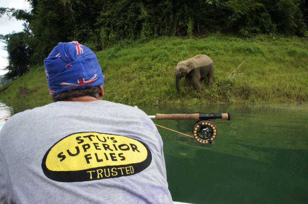 The Jungle Mix Packs