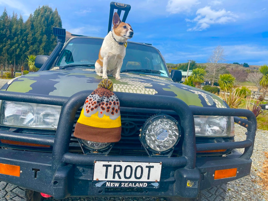 Famous NZ Trout-Sticker-Black