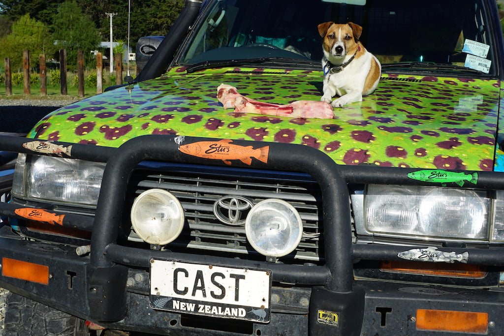 Famous NZ Trout-Sticker-Orange