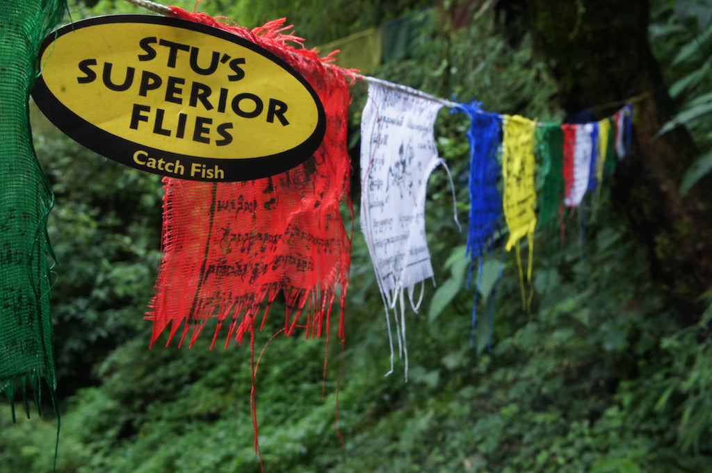 Famous NZ Trout-Sticker-Orange