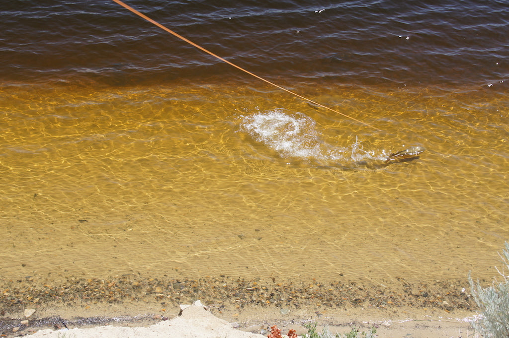 Killer Nymph - Mesh Trucker Cap
