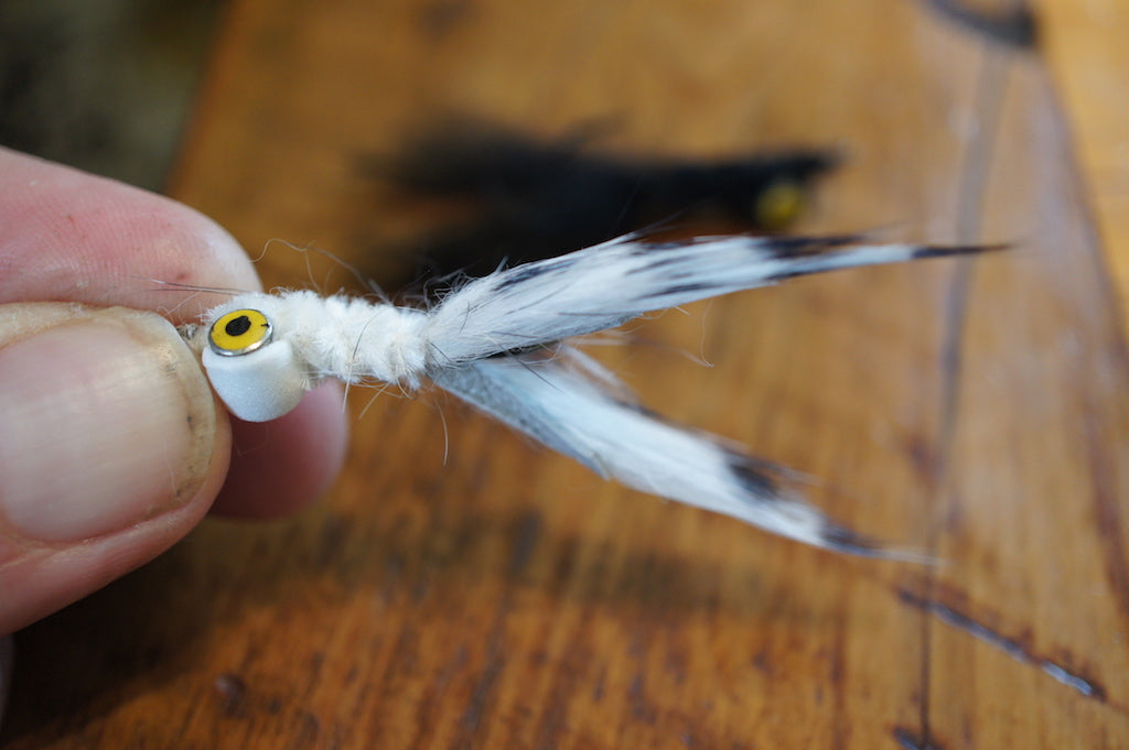 The Gimp-A Fish Record Fly.