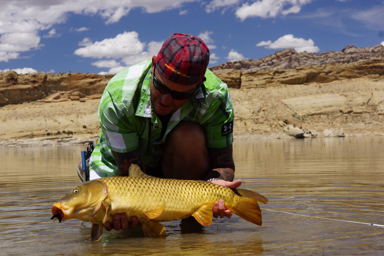 The Gimp-A Fish Record Fly.