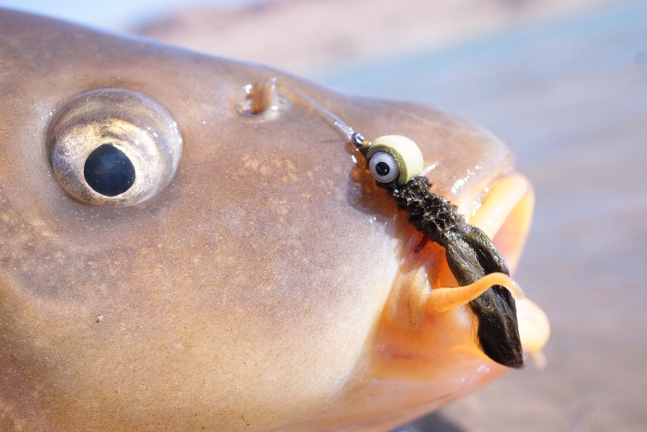 The Gimp-A Fish Record Fly.