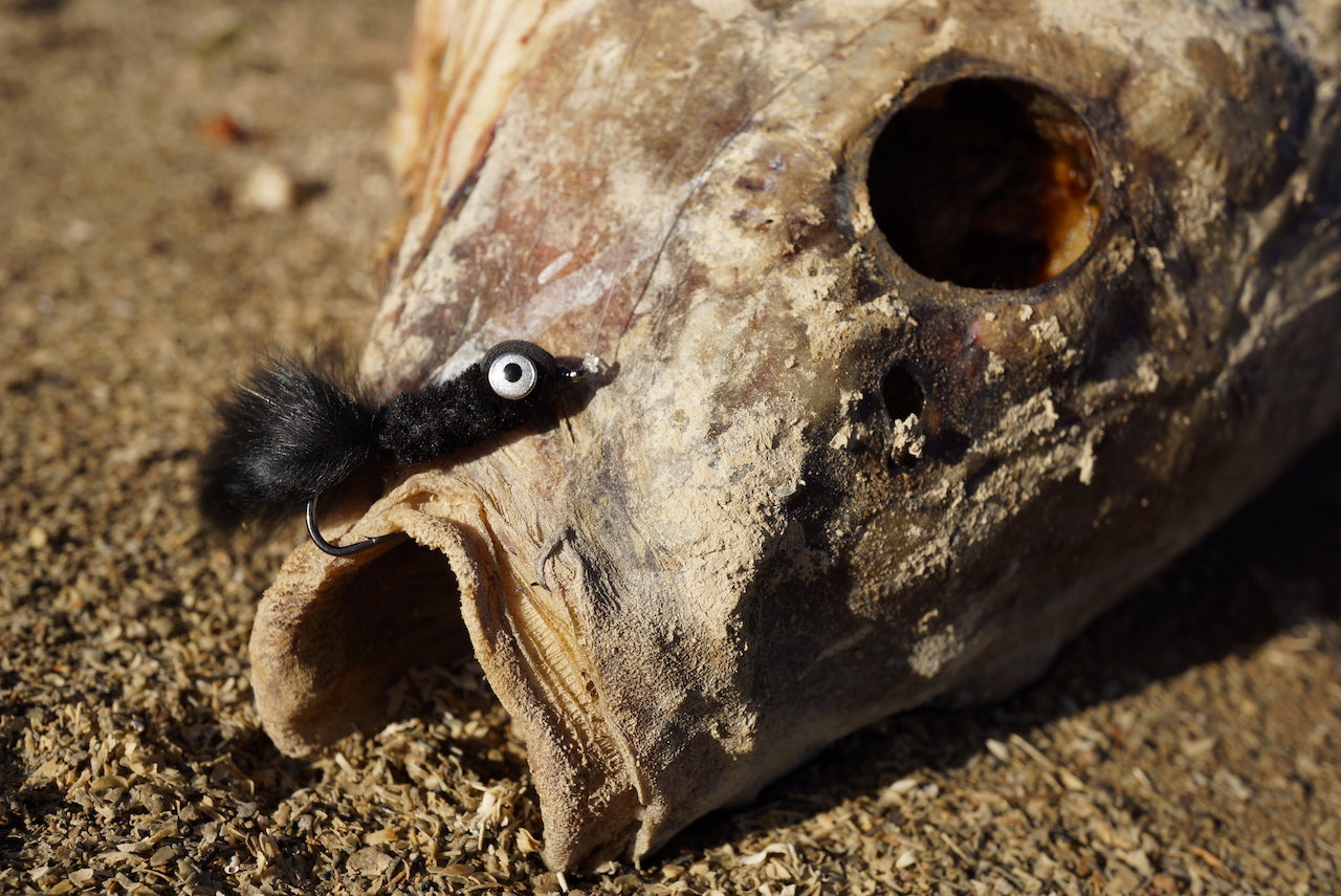 The Gimp-A Fish Record Fly.