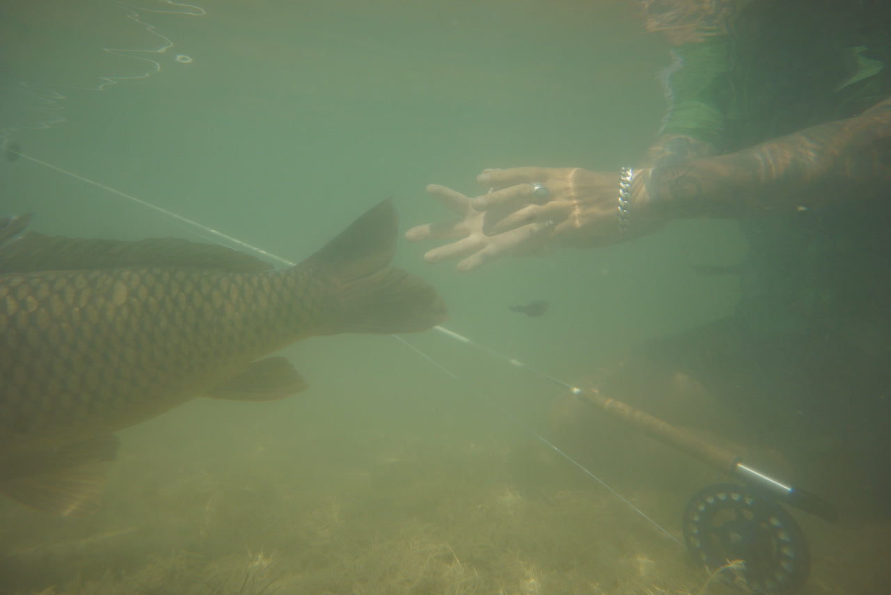 The Gimp-A Fish Record Fly.