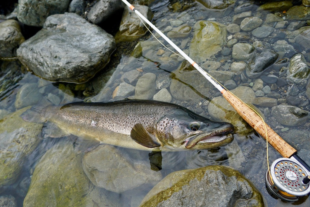 Ninja Stonefly -Supa Big- Green