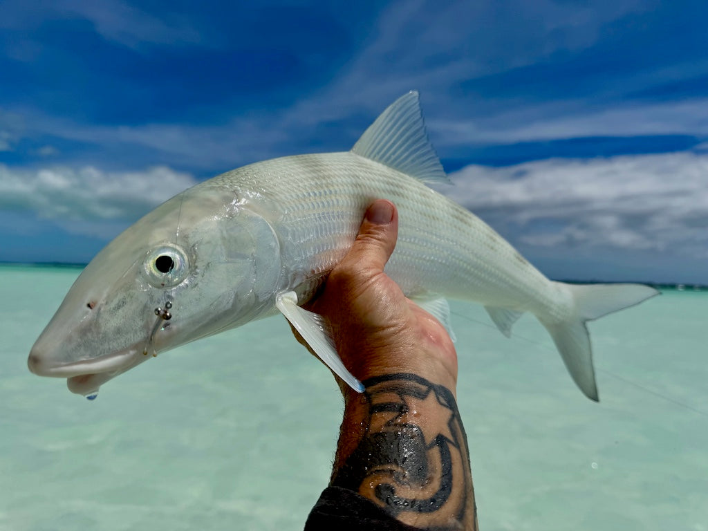 Bonefish Torpedo Shrimp Mix Pack's