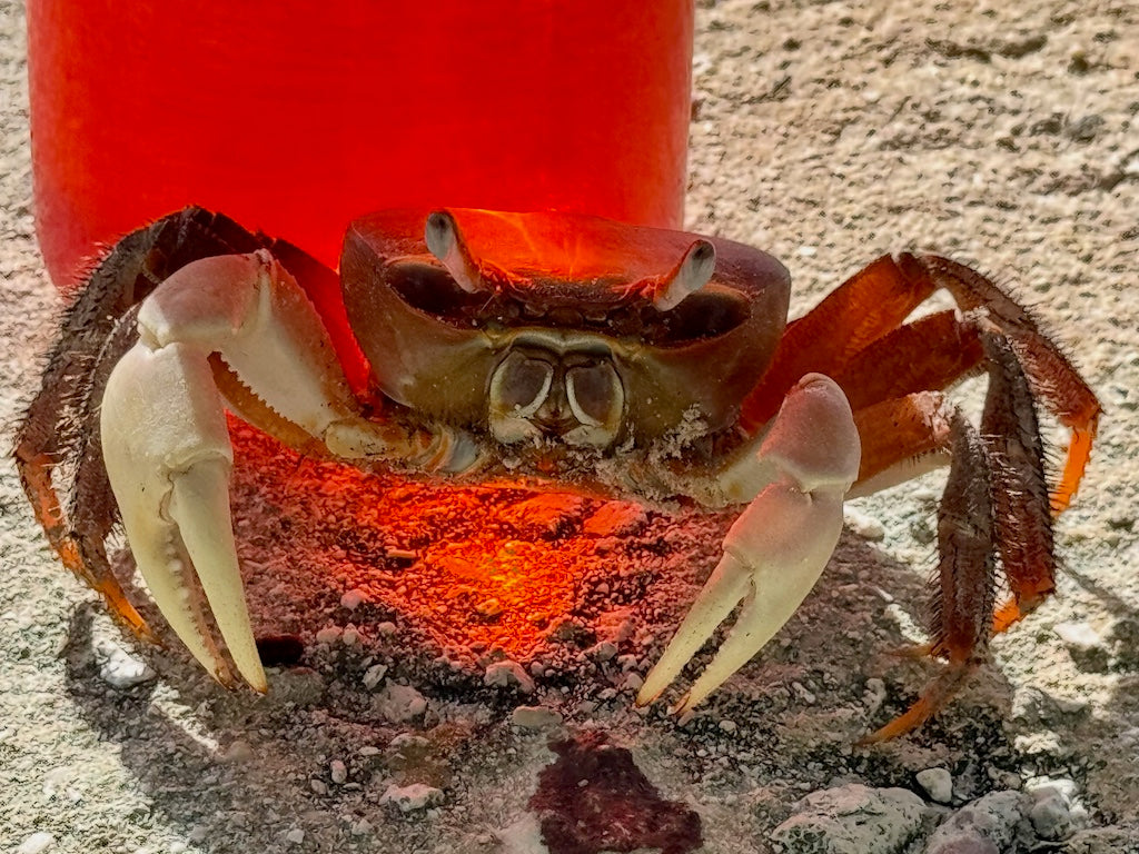 PERMIT-Sticker-Ghost