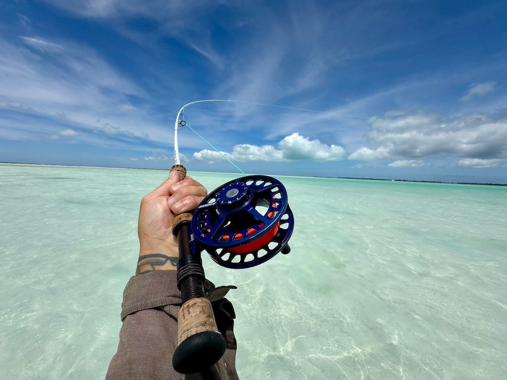 Bonefish Torpedo Shrimp Mix Pack's