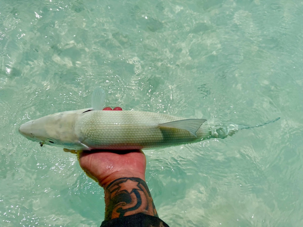 JIMMY WAS A ROCKSTAR