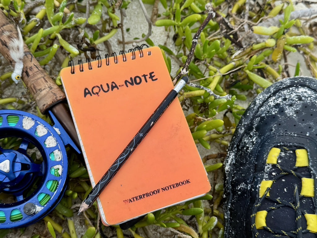 JIMMY WAS A ROCKSTAR