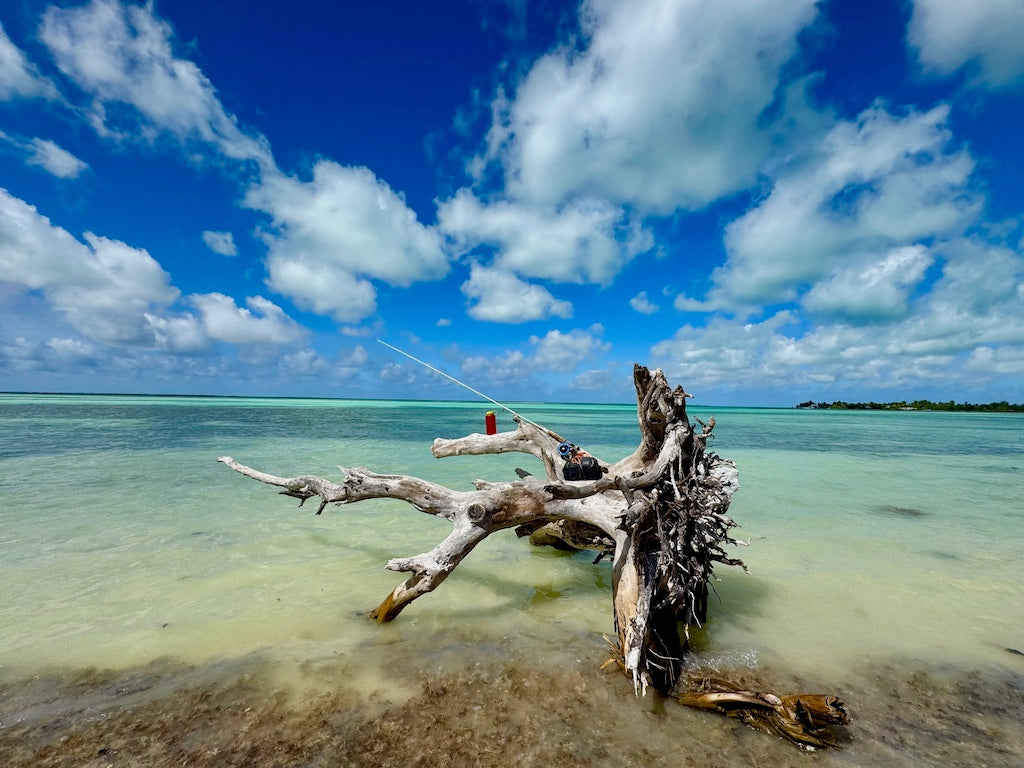 JIMMY WAS A ROCKSTAR