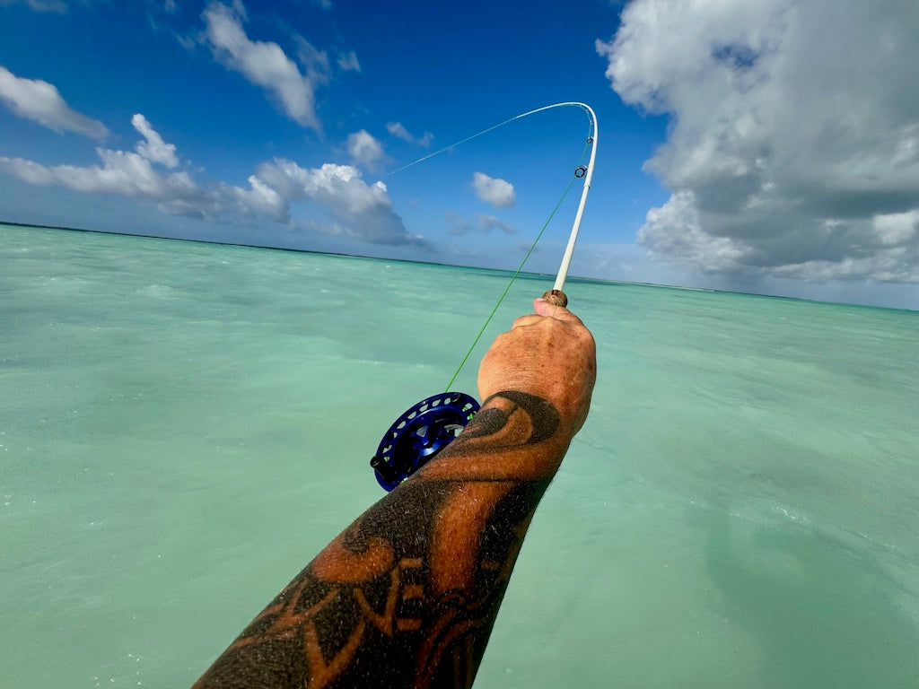 Loaded 11-Slim-Bonefish-Torpedo Shrimp-Fly Box-Mix