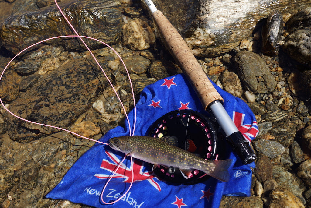 New Zealand Mix Pack's