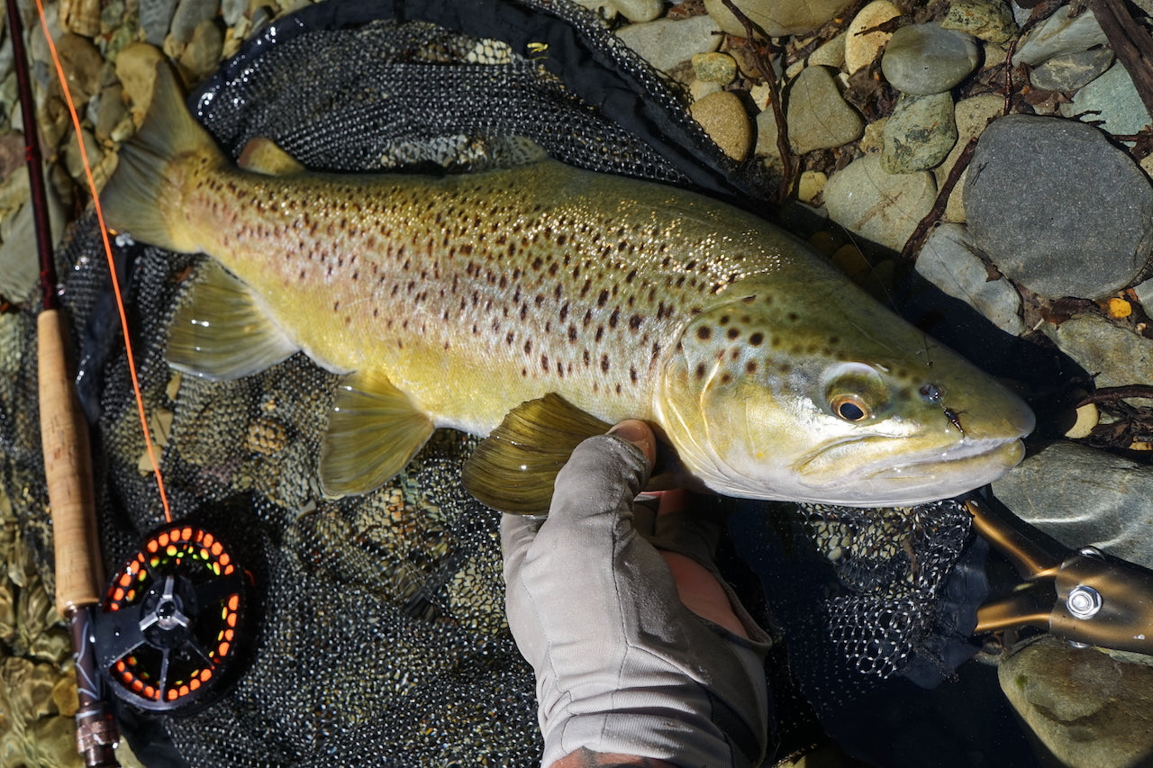 Loaded 1-Mayfly Small Nymph-Slim Fly Boxes.