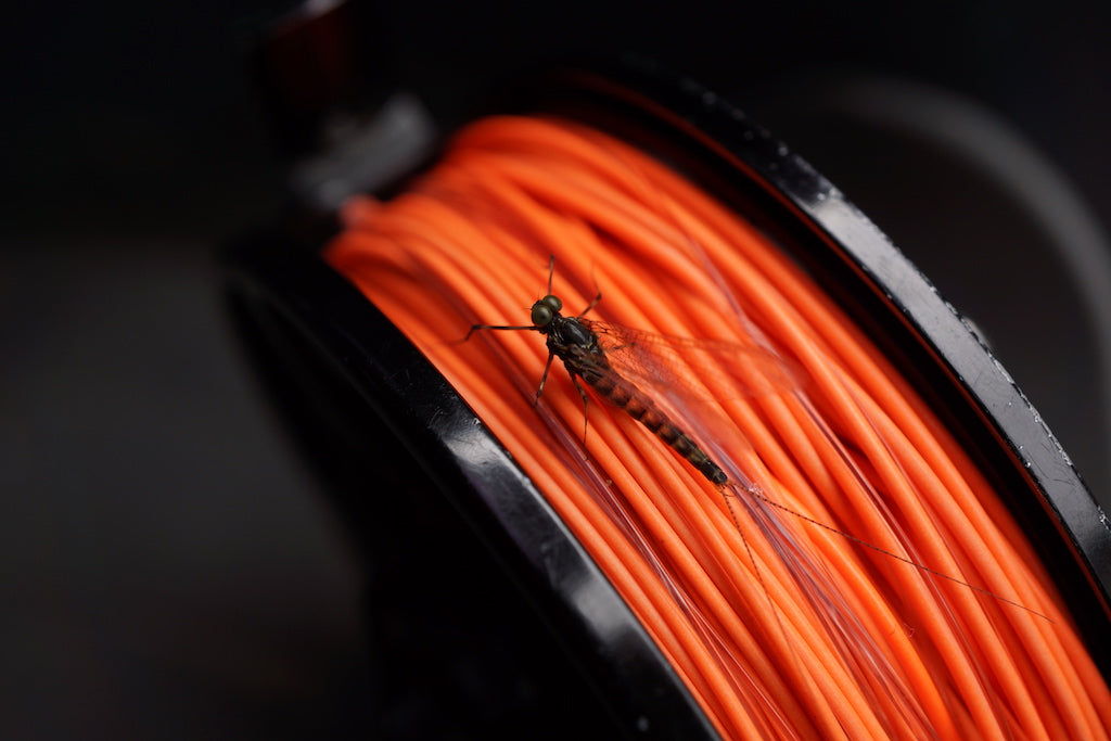 Deadly Mayfly Spent Spinner-Hi Viz