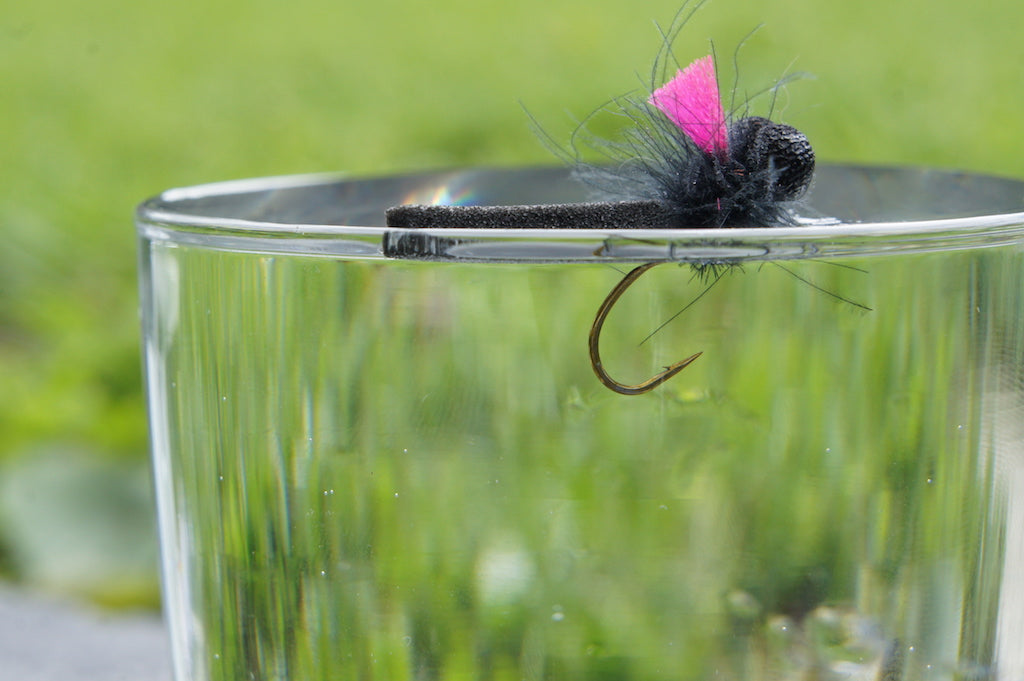 Adult Dragonfly