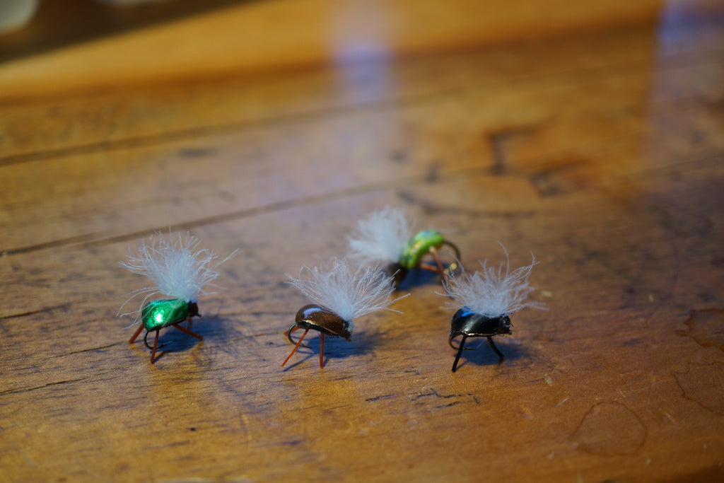 Bionic Beetle's
