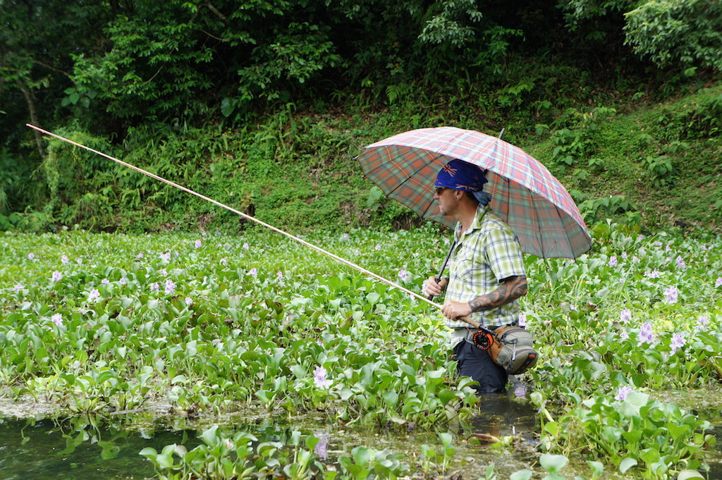 Famous NZ Trout-Sticker-Orange