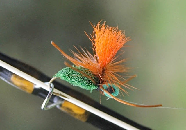 Deadly Cicada-Green