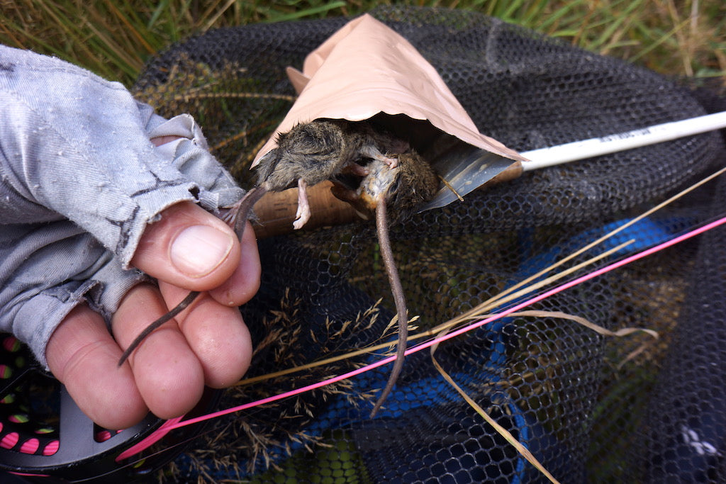 Loaded 8-S/M-South Island Specific NZ-Dry Fly Mix-Slim Fly Boxes.