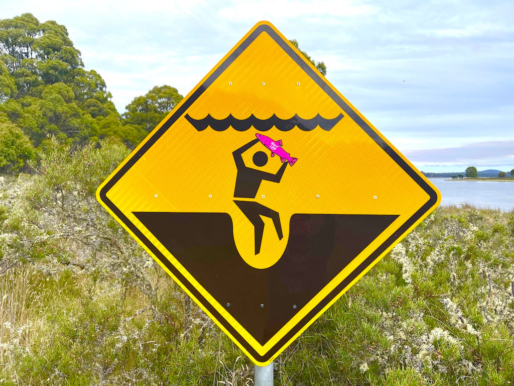 Famous NZ Trout-Sticker-Green-Deadly Damsel