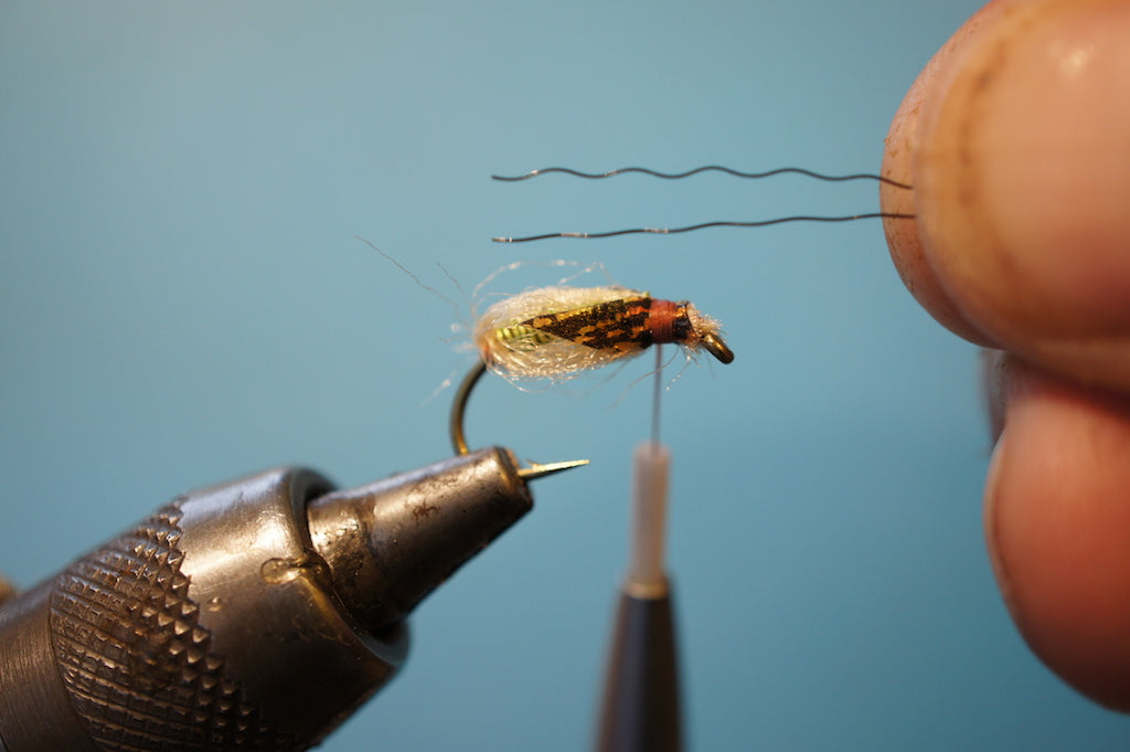 Deadly Caddis Pupae