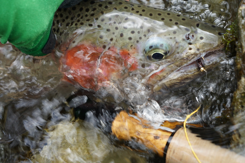Loaded 14-Deadly Nymph-Mayfly-Slim Fly Box.