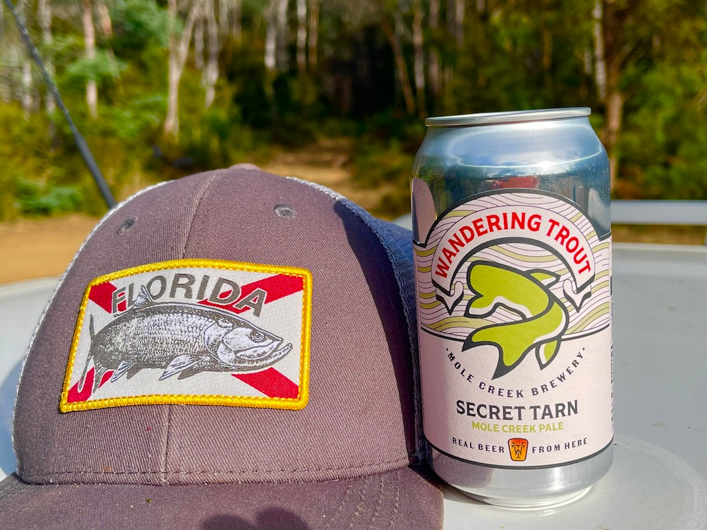 Sonic Minnow-Baitfish