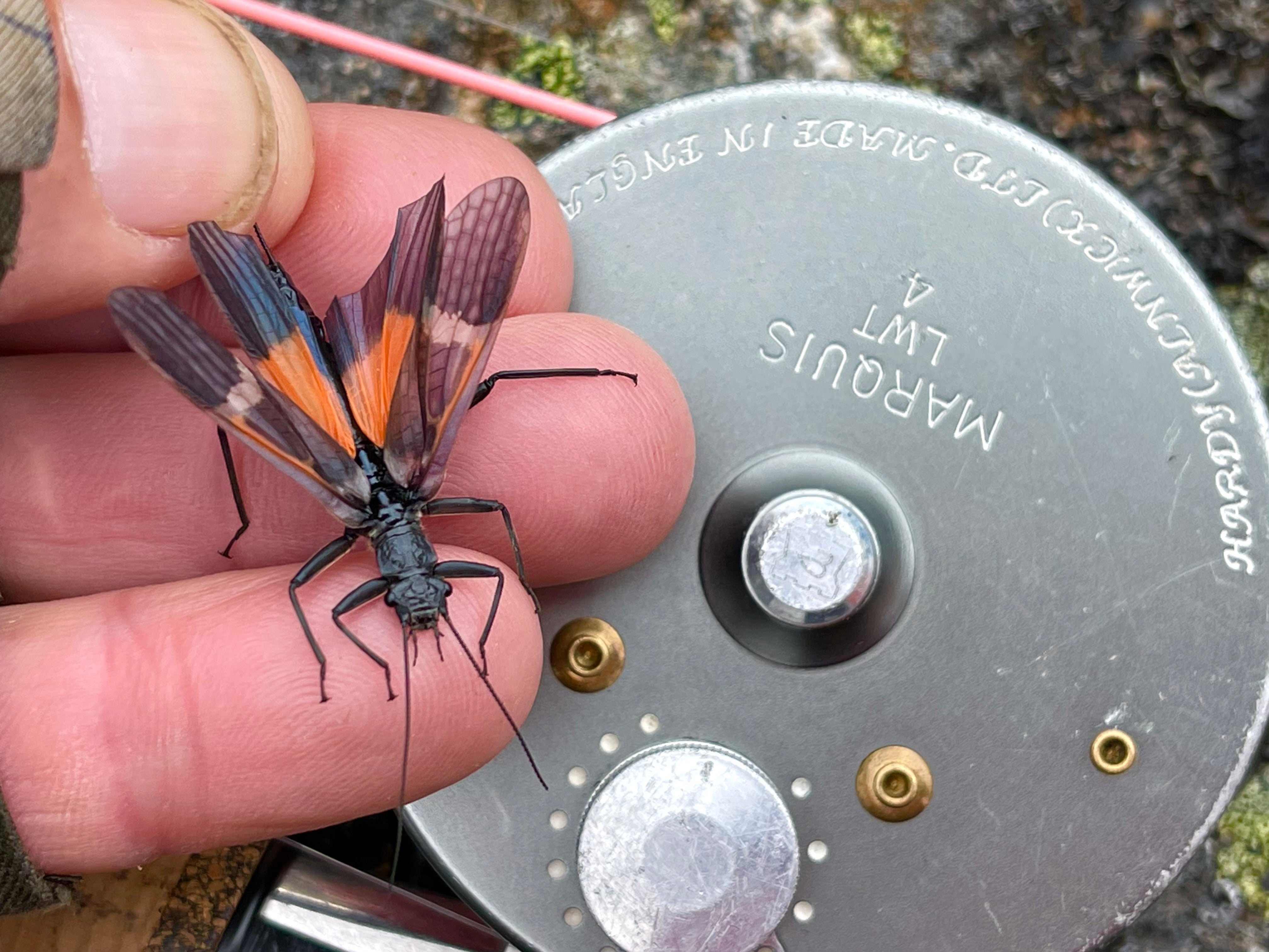Dry Fly Superior Mix Packs