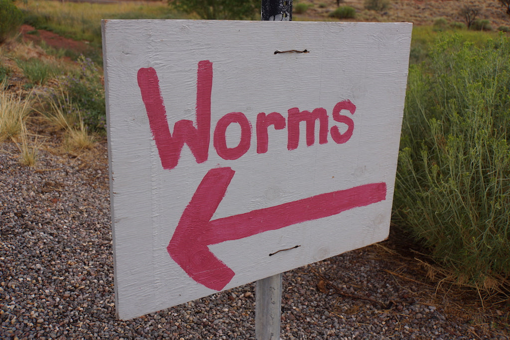 Deadly Worm