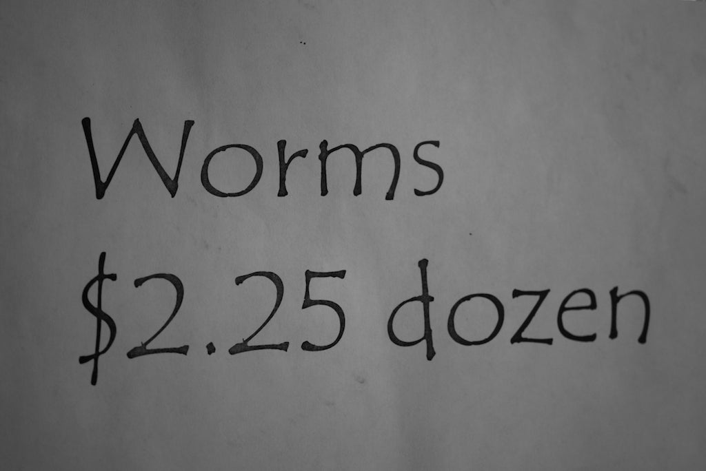 Deadly Worm