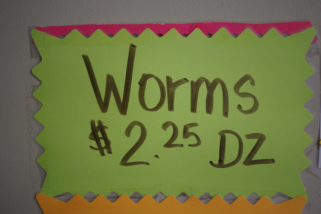Deadly Worm