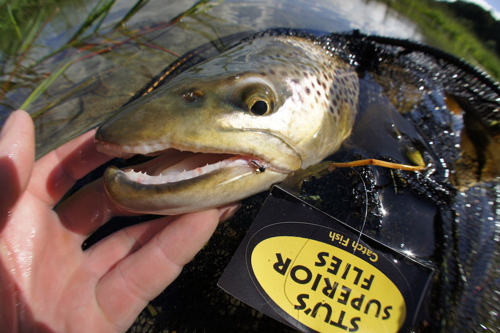 Loaded 8-S/M-South Island Specific NZ-Dry Fly Mix-Slim Fly Boxes.