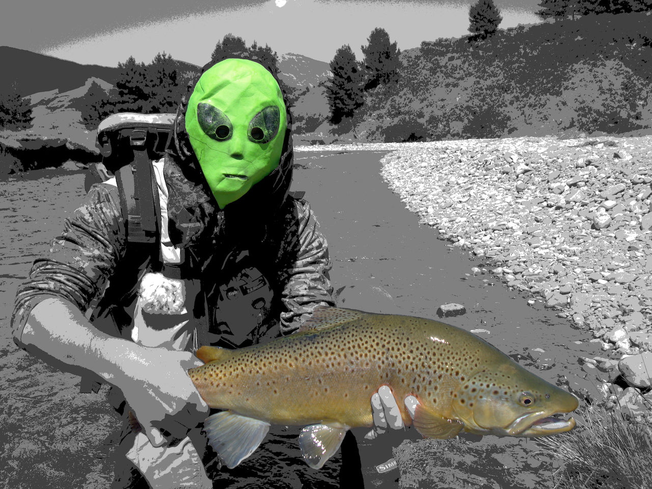 Killer Nymph-Mayfly-Nymph