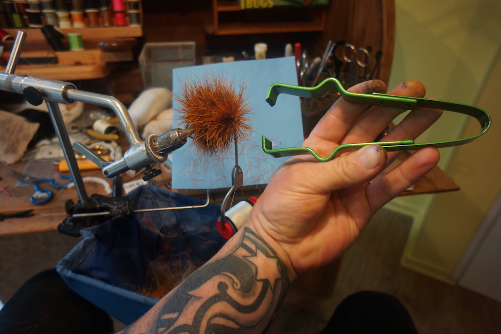 NZ Kiwi Bird-Fly Art