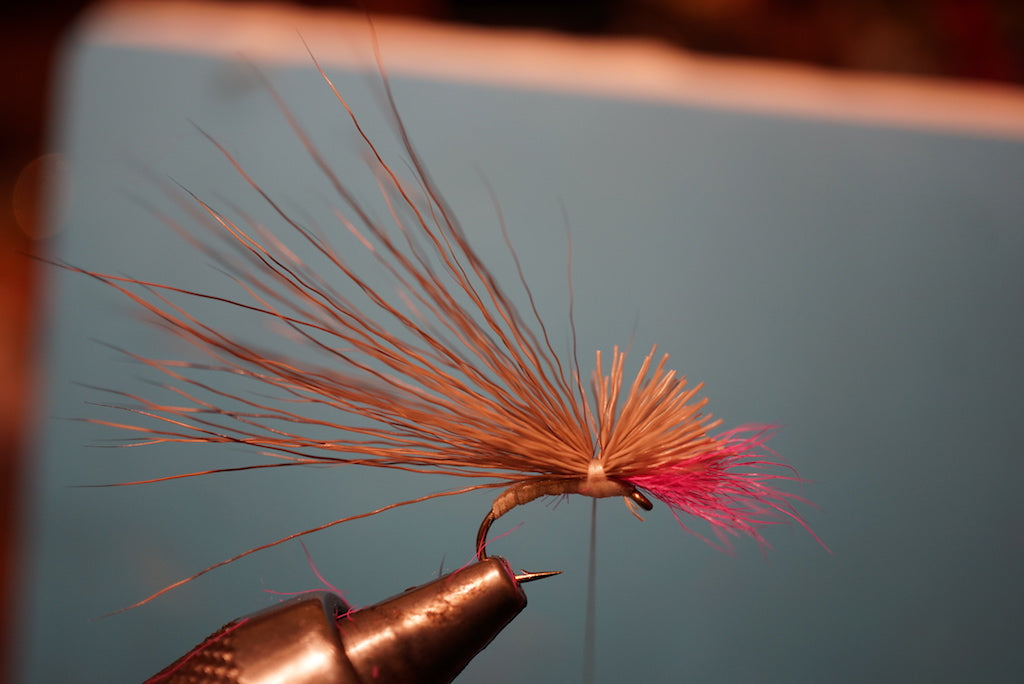 Wee Fairy-Mayfly/Emerger