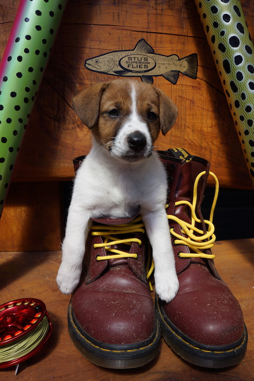 Killer Nymph - Mesh Trucker Cap