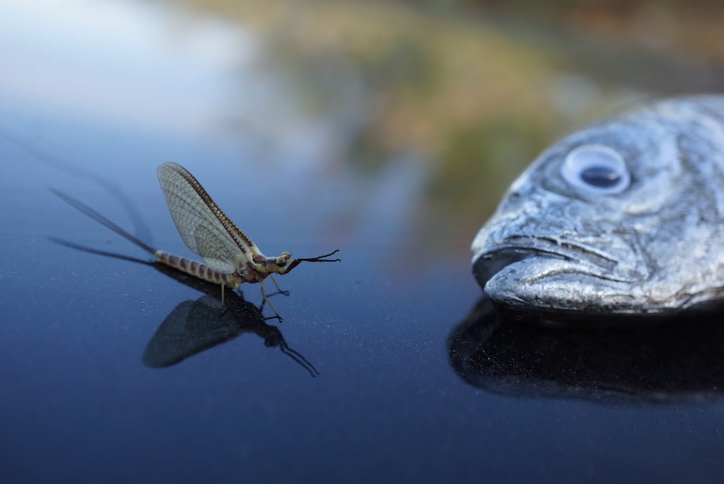 Loaded 7-S/M Dry Fly Mix-Slim Fly Boxes.