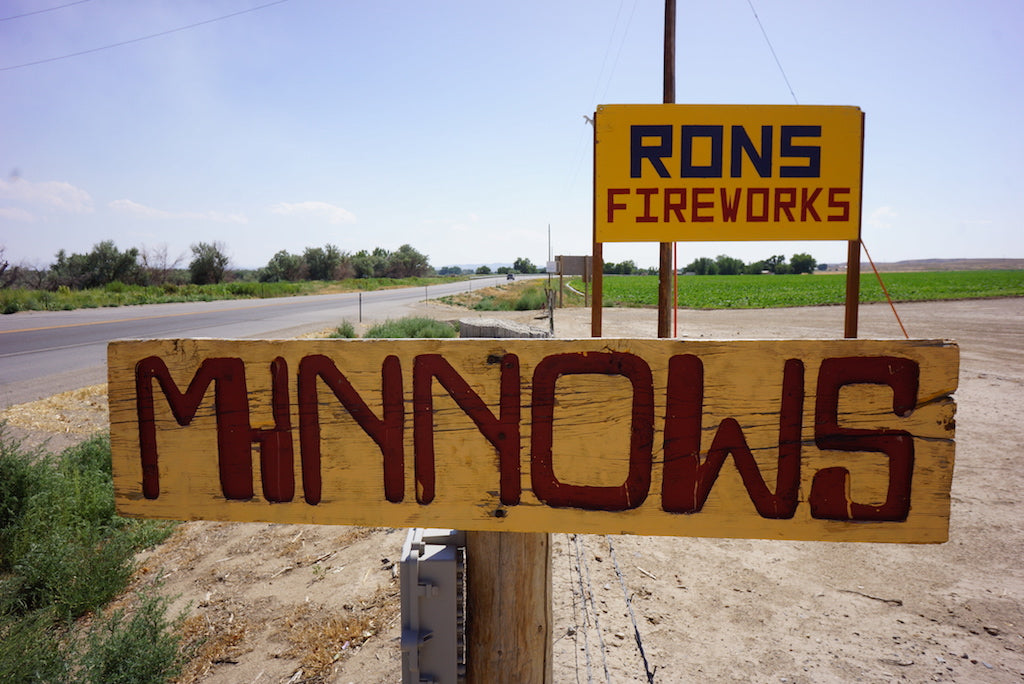 Sexy Minnow-The Ultimate Baitfish/Smelt