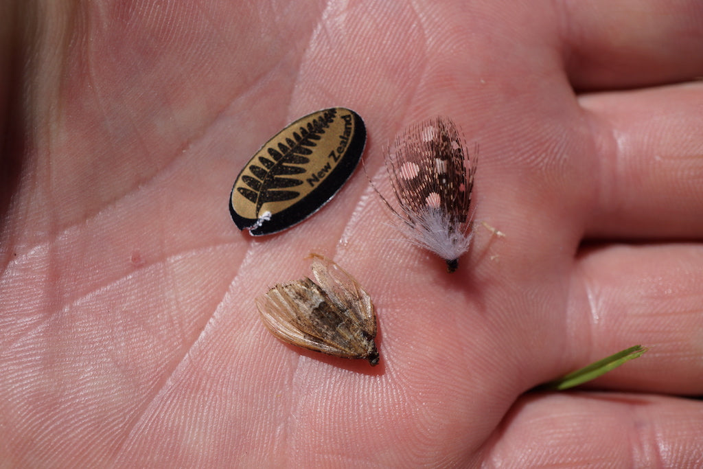 Ze Klingon-Moth/Vine Hopper Fly