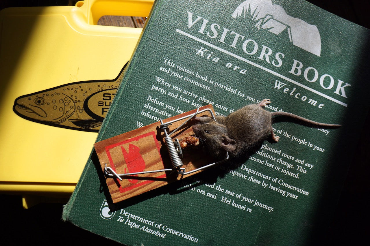 Bionic Mouse Fly-Popper/Predator